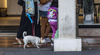 Ciudad Real impulsa una campaña contra excrementos de perros
